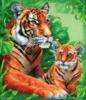 Тигрица и тигрёнок: оригинал