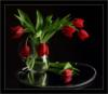 Схема вышивки «Красные тюльпаны на чёрном»