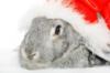 Схема вышивки «Новогодний кролик»