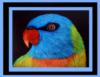 Схема вышивки «Parrot Portrait - Easy»
