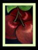 Схема вышивки «Delicious Fruits - Cherries»
