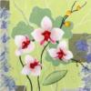 Схема вышивки «White Orchid»