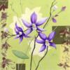 Схема вышивки «Purple Orchid»