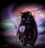 Черная кошка: оригинал