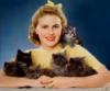 Схема вышивки «Ретро девушка с котятами»