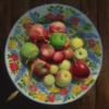 Схема вышивки «Яблочки на тарелочке»