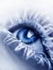 Схема вышивки «Голубой глаз»
