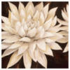 Схема вышивки «белые цветы»
