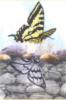 Схема вышивки «Дух бабочки»