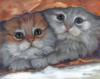 Схема вышивки «Sweet Kittens»