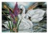 Схема вышивки «Лебеди и цветы»