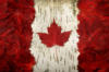 Схема вышивки «Флаг канады»
