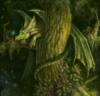 Схема вышивки «Лесной дракон»