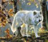 Схема вышивки «Белый волк в осеннем лесу»