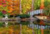 Схема вышивки «Осенний пейзаж с мостом»