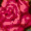 Малиновые розы: предпросмотр