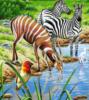 Зебры и антилопа на водопое: оригинал