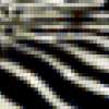 Шкура зебры-1для филейной сетки: предпросмотр