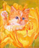 Схема вышивки «Котёнок в лепестках тюльпана»