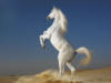 Схема вышивки «White_horse»