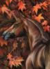 Схема вышивки «Осенний конь»