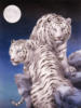 Схема вышивки «Лунные тигры»