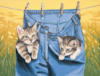 Схема вышивки «Котятки в кармашках»