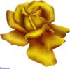 Жёлтая роза: оригинал