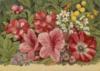 Схема вышивки «Floral Abundance»