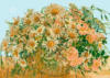 Схема вышивки «Ромашка и цветы шиповника»