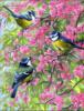Схема вышивки «Весенние птахи»