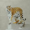 Схема вышивки «Тигрица с тигренком»