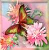 Схема вышивки «Бабочка на цветке акварель»