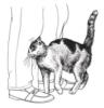 Схема вышивки «Ч-б кошки»