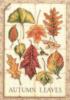 Схема вышивки «Осенние листья»