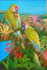 Схема вышивки «Parrots»