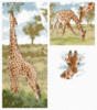 Жирафы: оригинал