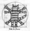 Схема вышивки «Кот Да Винчи»