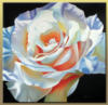 Схема вышивки «Подушка Белая роза»