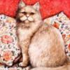 Схема вышивки «Рисованные котики»