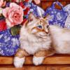Схема вышивки «Рисованные котики»