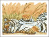Схема вышивки «Тигр в траве»