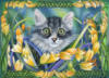 Схема вышивки «Цветы и кошка»