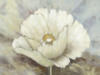 Схема вышивки «White Flower Close Up»