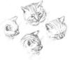Схема вышивки «Кошачьи мордашки»