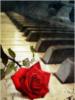 Схема вышивки «Пианино и роза»
