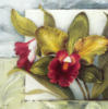 Схема вышивки «Орхидея 1»