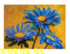 Схема вышивки «Синие цветы»