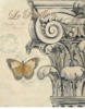 Схема вышивки «Бабочка и деталь колонке»