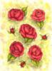 Схема вышивки «Red Roses»